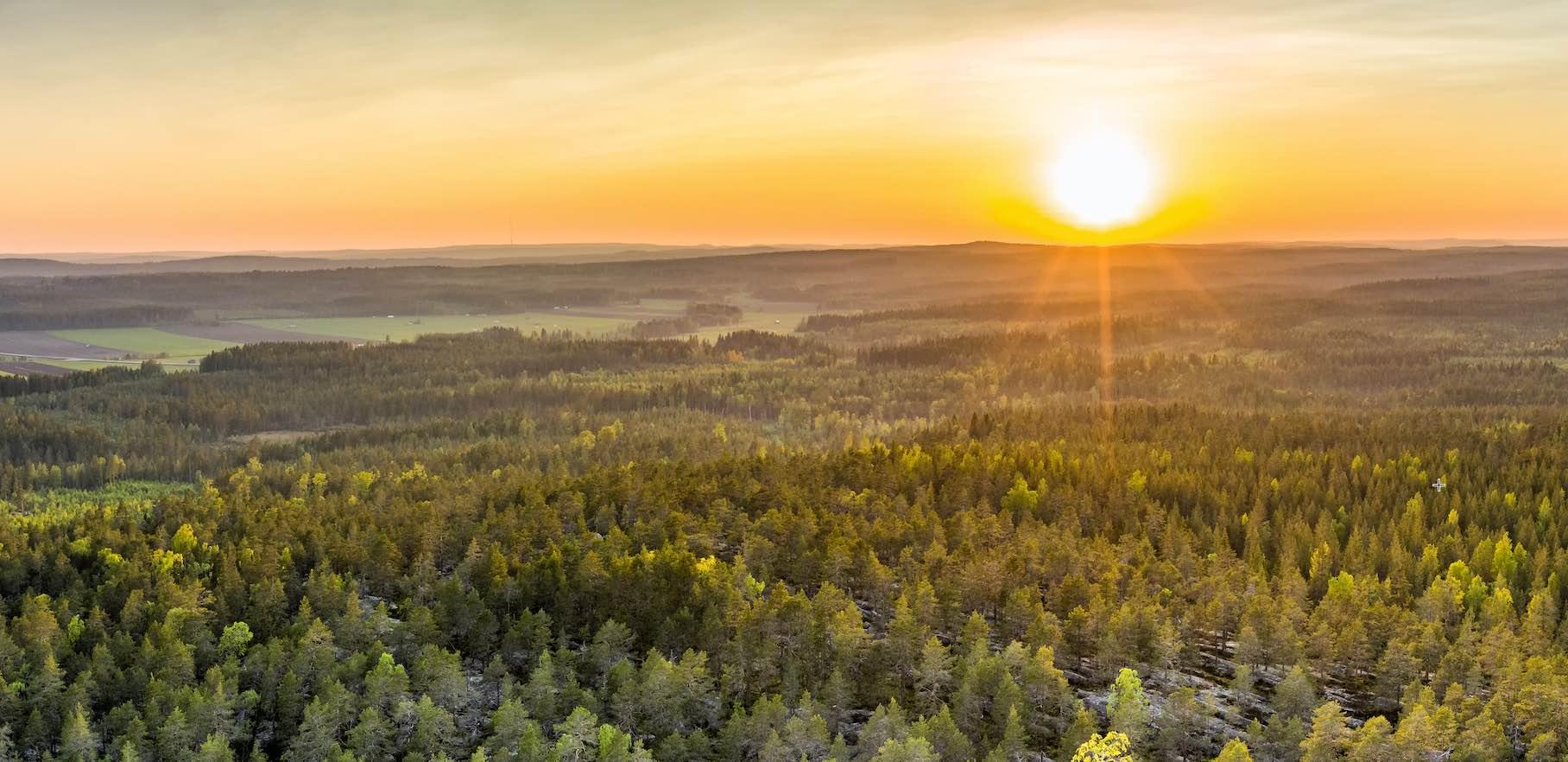 Förstudie Regional IoT i Västerbotten