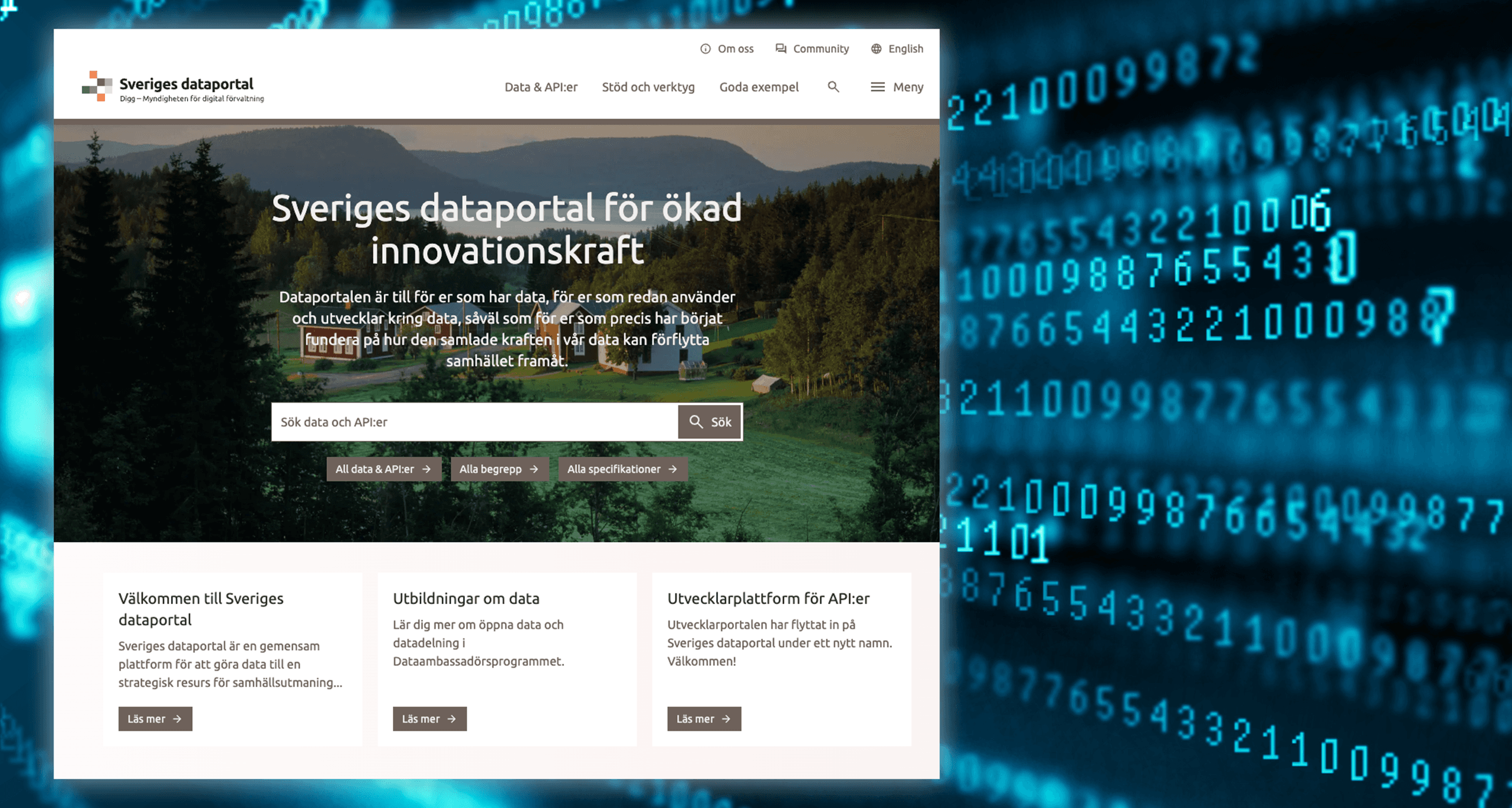 Dataportal ettor och nollor